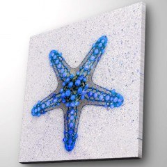 Canvas Painting With Led Light 254LED4226 28x28cm Multi Wallity