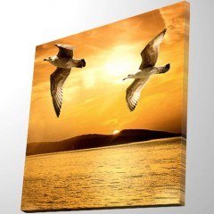 Canvas Painting With Led Light 254LED4241 40x40cm Multi Wallity