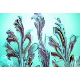 Χαλάκι Κουζίνας Wookece 235 Fuchsia-Turquoise Conceptum Hypnose FUCHSIA-TURKUAZ