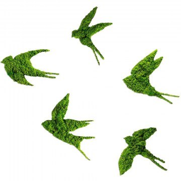 Διακοσμητικό Τοίχου Swallows Με Βρύο (Σετ 5Τμχ) 931NTR1118 19x18/19/11/17/14cm Green Wallity
