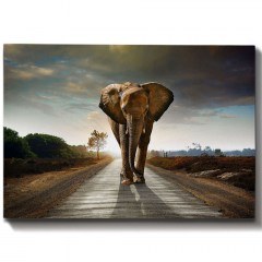 Πίνακας Καμβάς 529TCR1570 100x70cm Multi Wallity