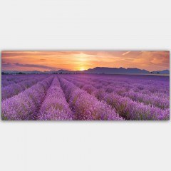 Canvas Painting 451ERN1559 120x50cm Multi Wallity