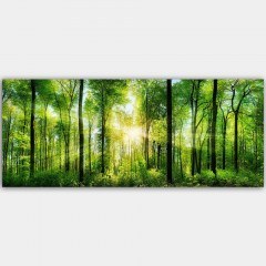 Canvas Painting 451ERN1457 120x50cm Multi Wallity