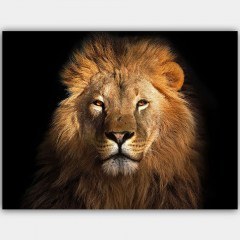 Canvas Painting 441HPE2576 100x70cm Multi Wallity