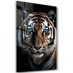 Πίνακας Γυάλινος 672BRS5569 46x72cm Multi Wallity