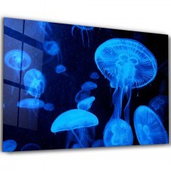 Tempered Glass Painting 672BRS4579 72x46cm Multi Wallity