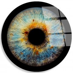 Πίνακας Γυάλινος 123BZM2634 Φ60cm Multi Wallity