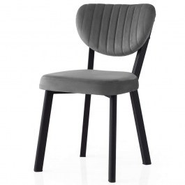 Καρέκλα Beta (Σετ 2Τμχ) 974NMB1848 46x54x86cm Anthracite ANTHRACITE
