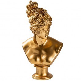 Decorative Bust 565TNL1348 30x23x55cm Gold Aberto Design GOLD