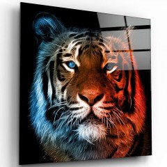 Tempered Glass Painting 231MDF1636 80x80cm Multi Wallity