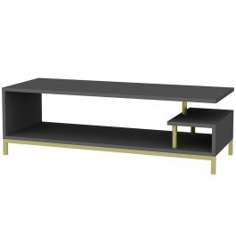 TV Furniture Reilly 322RTC2236 120x44,6x37,6cm Gold-Anthracite ANTHRACITE