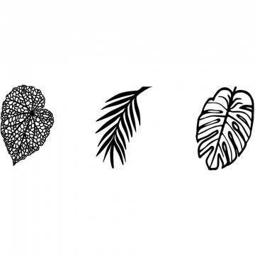 Wall Decorative Leaves (Set 3Pcs) 899SKL2480 21x32/23x33/24x33cm Black Wallity