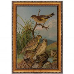 Κάδρο Atc 299DVN1156 50x70cm Multi Wallity