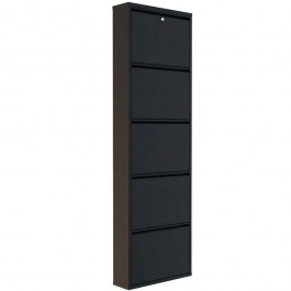 Παπουτσοθήκη Επιτοίχια Locking 159ORN1118 50x15x169cm Black BLACK