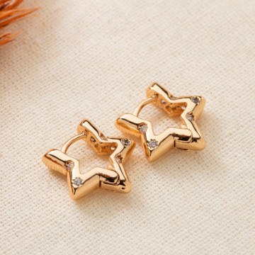 Σκουλαρίκια 817SPK1179 Gold Heliophilia Silver