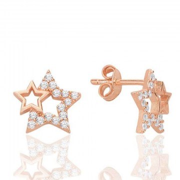 Σκουλαρίκια Ασημένια 132SDE5822 Rose Gold Heliophilia Silver