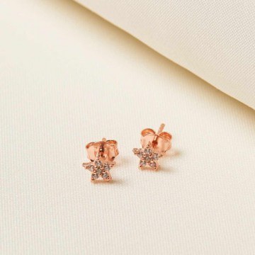 Earring 719GLN3804 Rose Gold Heliophilia Silver