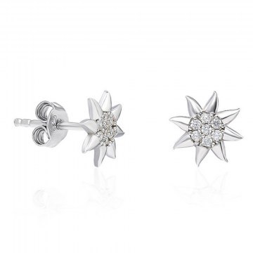 Σκουλαρίκια Ασημένια 155VRN1512 Silver-White Heliophilia Silver