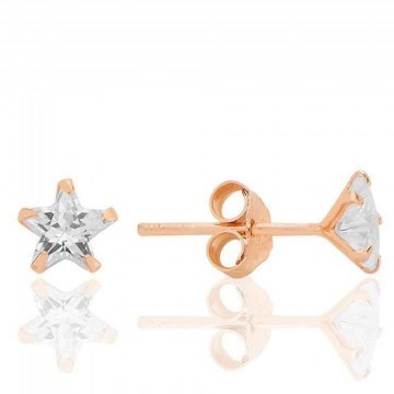 Σκουλαρίκια Ασημένια 132SDE5762 Rose Gold Heliophilia Silver