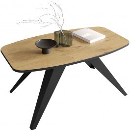 Coffee Table Luna 162785139 120x60x48cm Natural-Black NATURAL