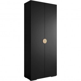 Ντουλάπα Δίφυλλη Inova 163058109 100x47x237cm Black-Gold BLACK