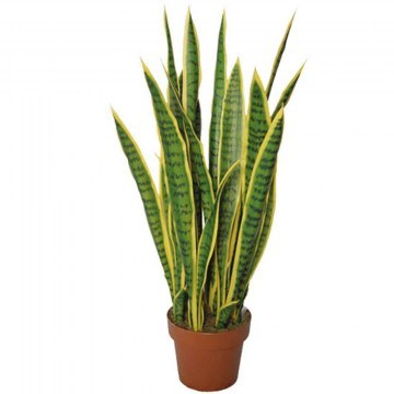 Τεχνητό Φυτό Σε Γλάστρα Μαγκουέη 04-00-95035 105cm Green-Yellow Marhome
