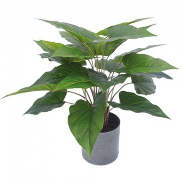 Τεχνητό Φυτό Σε Γλάστρα Ανθούριο 04-00-18768 45cm Green Marhome