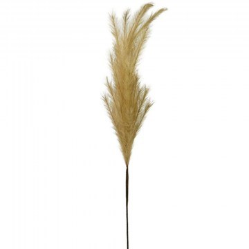 Τεχνητό Φυτό Pampas 00-00-6110-1 117/64cm Natural Marhome