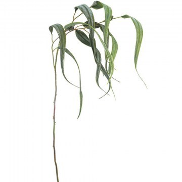 Τεχνητό Κλαδί Ευκάλυπτος 00-00-21001 30x82cm Green Marhome