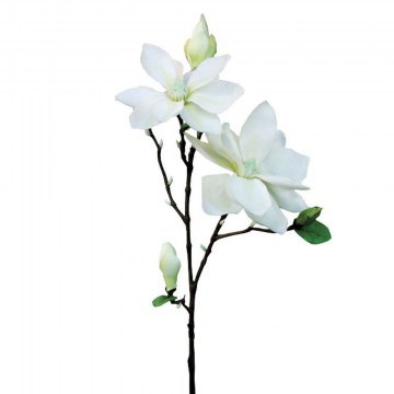 Artificial Flower Magnolia 00-00-14523-1 83cm Ecru Marhome