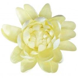 Artificial Hanging Water Lily 00-23858-30-2 D32x18cm Yellow Marhome YELLOW