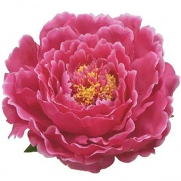 Artificial Hanging Peony 00-23860-30-3 D28cm Fuchsia Marhome FUCHSIA