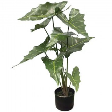 Τεχνητό Φυτό Σε Κασπώ Αλοκασία 04-10107 75cm Green Marhome