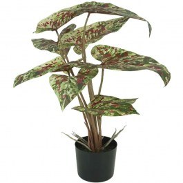 Τεχνητό Φυτό Σε Κασπώ Αλοκασία 04-20022-2 58cm Green-Red Marhome GREEN-RED