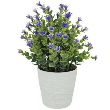 &Tau;&epsilon;&chi;&nu;&eta;&tau;ό &Phi;&upsilon;&tau;ό &Sigma;&epsilon; &Kappa;&alpha;&sigma;&pi;ώ &Epsilon;&upsilon;&kappa;ά&lambda;&upsilon;&pi;&tau;&omicron;&sigmaf; 04-21712-3 &Phi;11x27cm Green-Purple Marhome