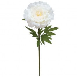 Artificial Flower Peony 00-23831-25-2 D28x100cm Ecru Marhome ECRU