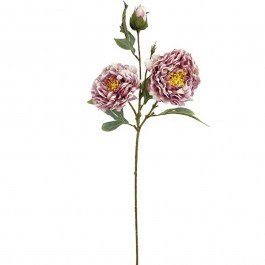 Artificial Flower Peony 00-10000-2 71cm Bordo-White Marhome BORDO-WHITE