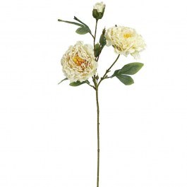 Artificial Flower Peony 00-10000-5 71cm Ecru Marhome ECRU