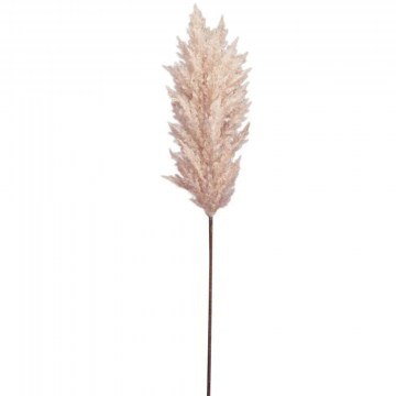 Τεχνητό Λουλούδι Πάμπας Κορταδερία 00-24157-1 86cm Somon Marhome