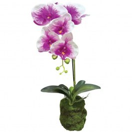 Artificial Plant Orchid 04-94376-3 59cm Purple-White Marhome WHITE-PURPLE