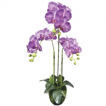 Τεχνητό Φυτό Ορχιδέα 04-94374-7 82cm Purple-White Marhome