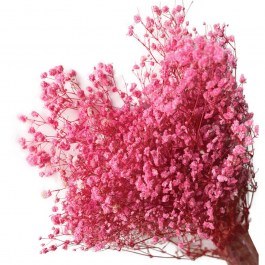 Αποξηραμένη Γυψοφύλλη 00-68897-1 70/80cm 100gr Fuchsia Marhome FUCHSIA