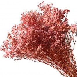 Αποξηραμένη Γυψοφύλλη 00-68897-3 70/80cm 100gr Pink Marhome PINK