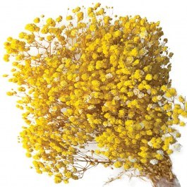 Αποξηραμένη Γυψοφύλλη 00-68897-6 70/80cm 100gr Yellow Marhome YELLOW