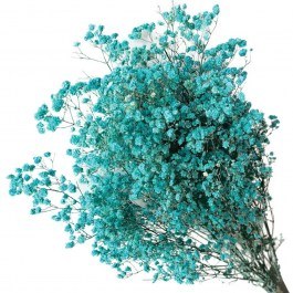 Αποξηραμένη Γυψοφύλλη 00-68897-7 70/80cm 100gr Cyan Marhome CYAN