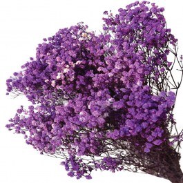 Αποξηραμένη Γυψοφύλλη 00-68897-8 70/80cm 100gr Purple Marhome PURPLE