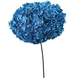 Dried Hydrangea 00-68893-8 55cm Blue Marhome BLUE