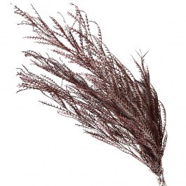 Dried Fern 00-68909-1 60-70cm Brown Marhome BROWN