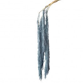 Dried Amaranth 00-68903-5 120cm Blue-Grey Marhome BLUE