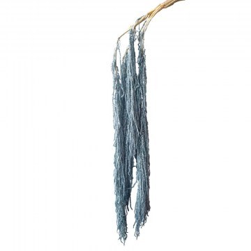 Dried Amaranth 00-68903-5 120cm Blue-Grey Marhome